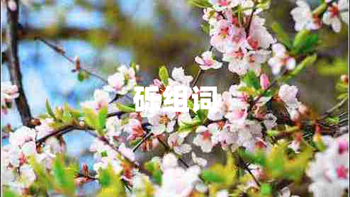 礫組詞