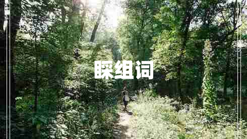 睬組詞