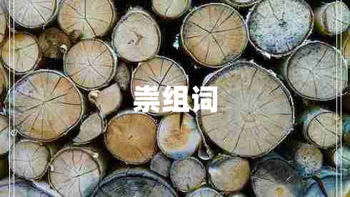 祟組詞