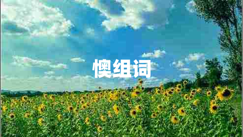 懊組詞