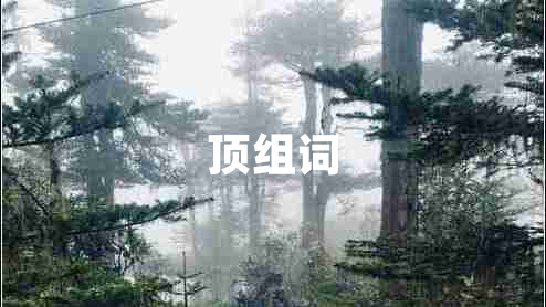 頂組詞
