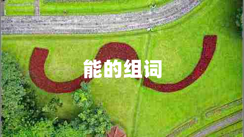 能的組詞