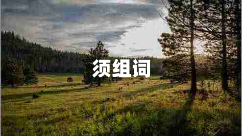 須組詞