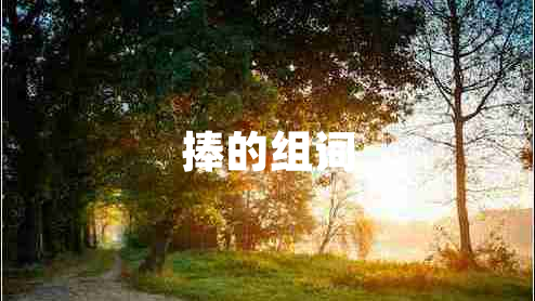 捧的組詞