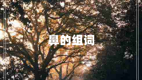 鼻的組詞