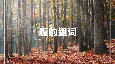 腹的組詞