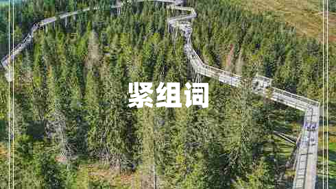 緊組詞