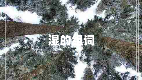 濕的組詞
