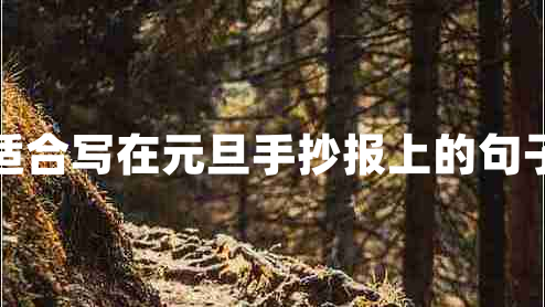 適合寫(xiě)在元旦手抄報(bào)上的句子