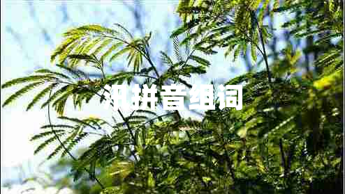 汛拼音組詞