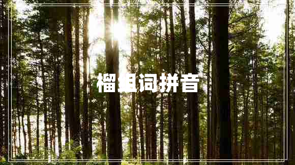 榴組詞拼音