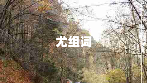 尤組詞