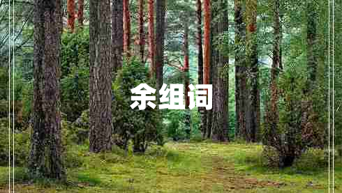 余組詞