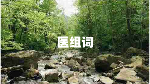 醫組詞