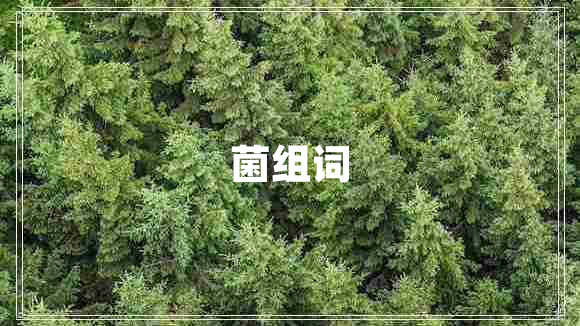 菌組詞