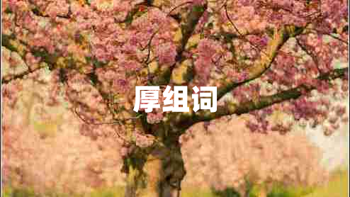 厚組詞