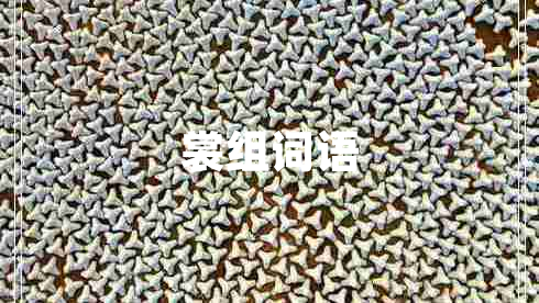 裳組詞語