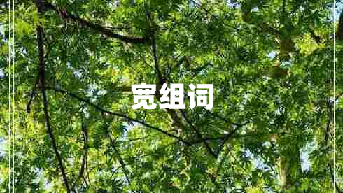 寬組詞