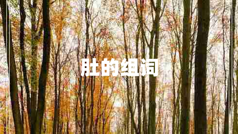 肚的組詞