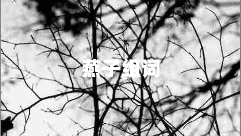 燕子組詞