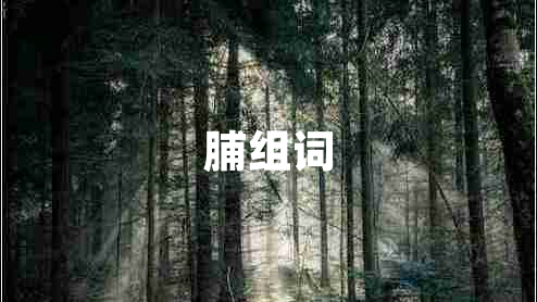 脯組詞