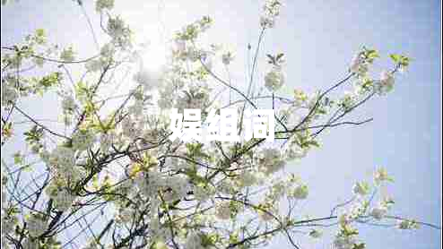 娛組詞