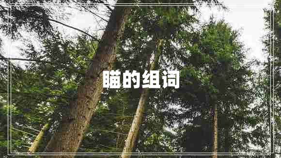 瞄的組詞