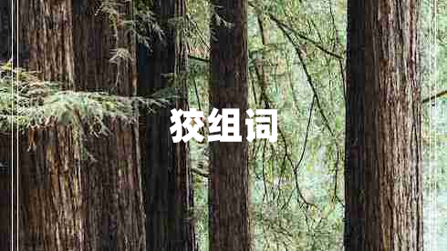 狡組詞