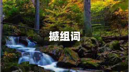 撼組詞