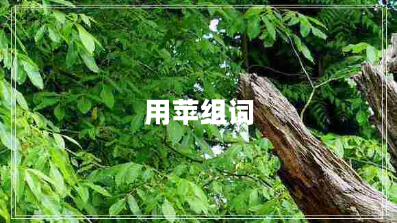 用蘋(píng)組詞