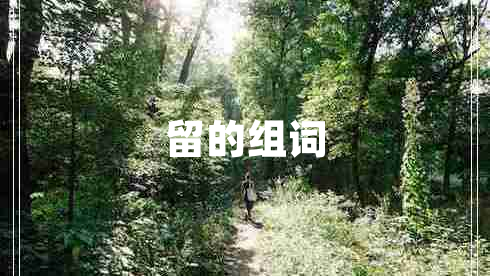 留的組詞