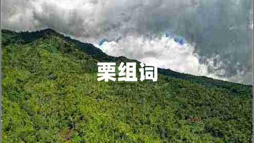 栗組詞