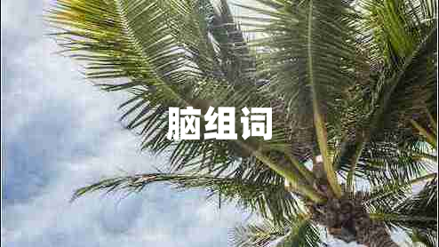 腦組詞