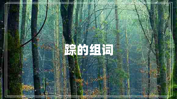 蹤的組詞
