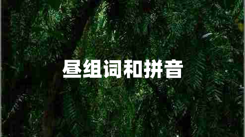 晝組詞和拼音