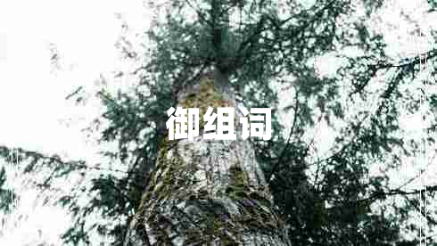 御組詞
