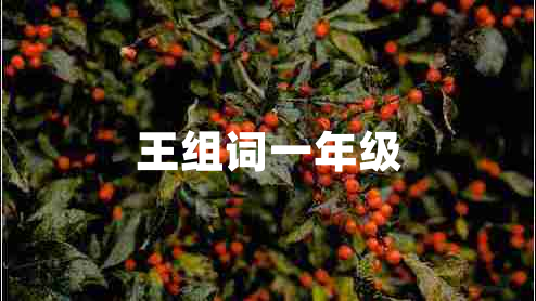 王組詞一年級(jí)