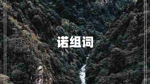 諾組詞