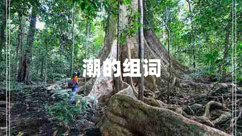 潮的組詞