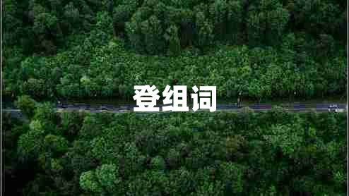 登組詞