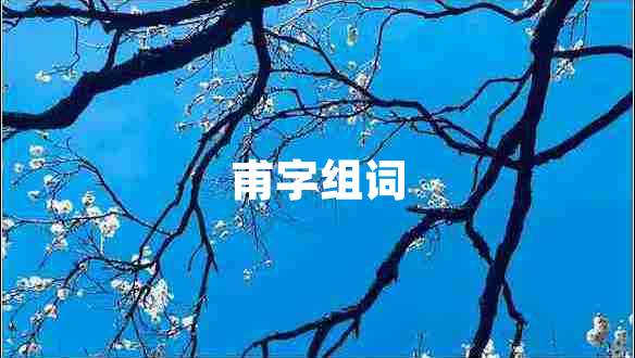 甫字組詞