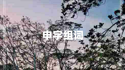 申字組詞