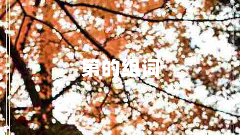 第的組詞