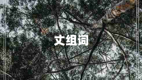 丈組詞