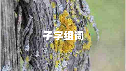 子字組詞