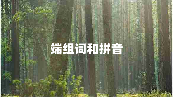 端組詞和拼音