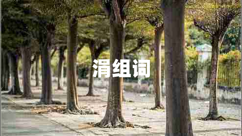 涓組詞