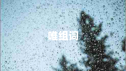 唯組詞