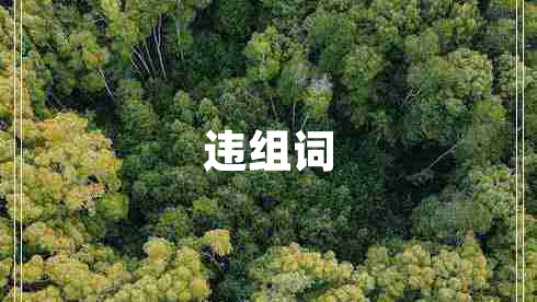 違組詞