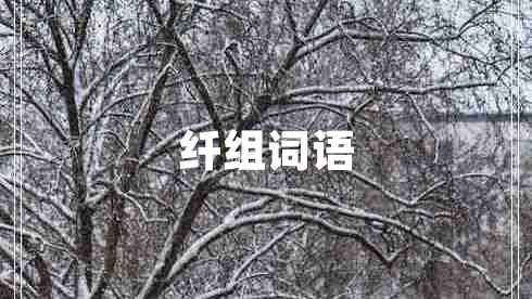 纖組詞語(yǔ)